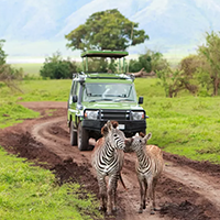 Nhận xét khách hàng