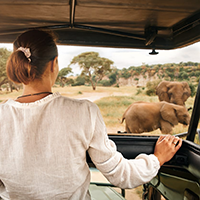 Hồ Thị Mỹ Hậu