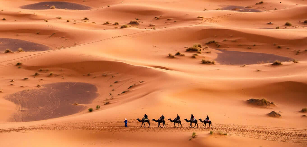 Dịch vụ làm Visa Tunisia nhanh chóng, uy tín