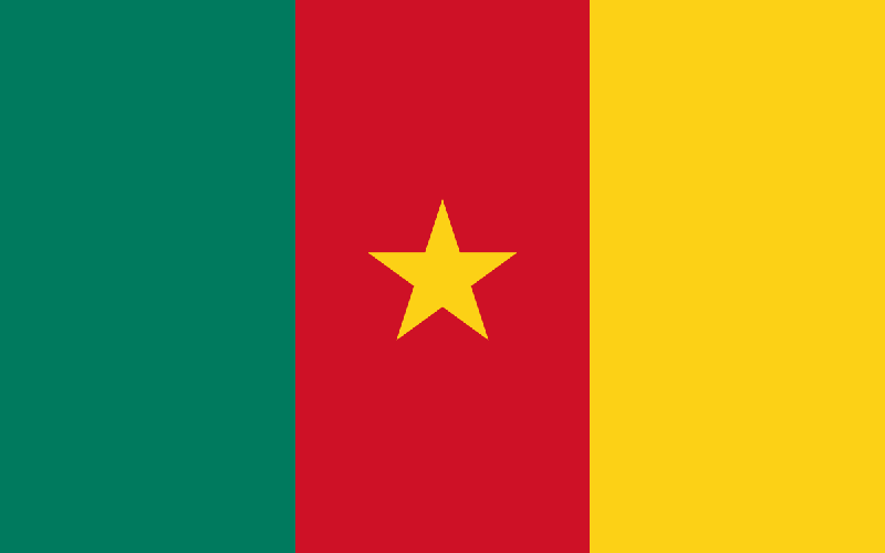 Chuyên Visa Cameroon
